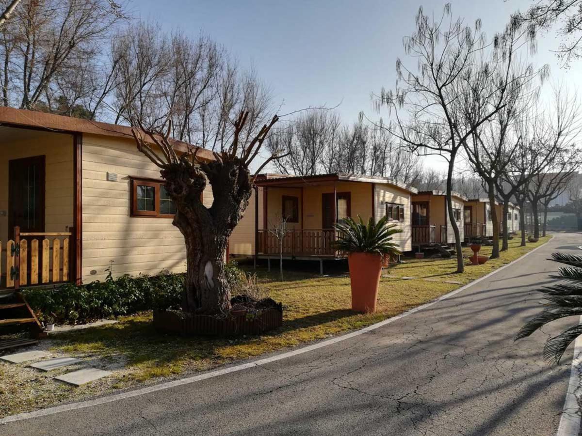 L'Oasi Di Lulu' Hotel Сенигалия Екстериор снимка