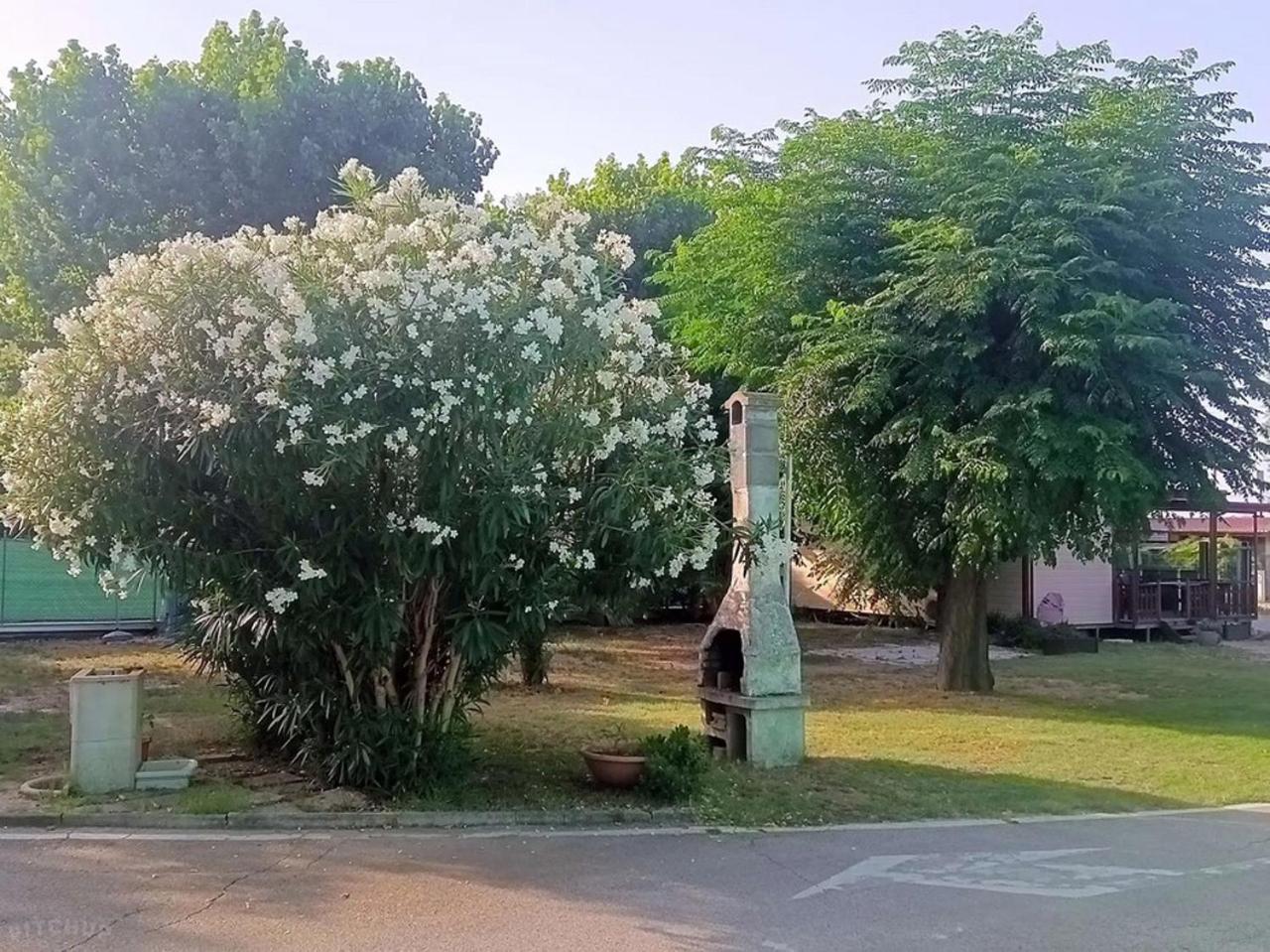 L'Oasi Di Lulu' Hotel Сенигалия Екстериор снимка